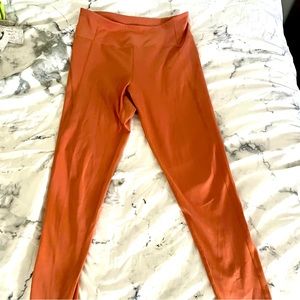 Girlfriend Collective High Rise Compressive Leggings in “Terra”